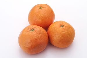 伝説のすた丼屋　綱島店の魅力と詳細情報｜横浜市港北区の人気グルメ店