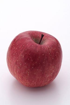 安くて美味しい！大衆酒場 ムロヒガシの魅力