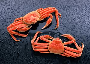 熟成肉を購入するなら精肉専門店で決まり