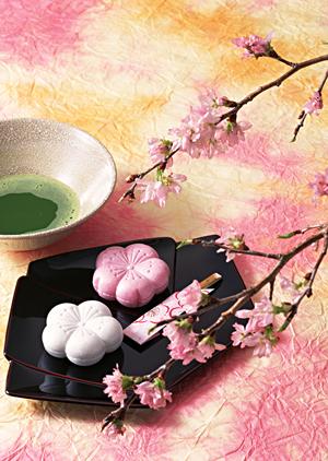 越谷の地元の味を堪能！家族で楽しむ特別な時間を提供するうなぎ料理店を徹底解説