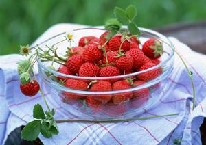 「特別な日のための神戸牛ギフト！家族を喜ばせる高品質な肉の選び方」