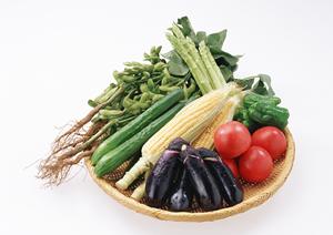 宅配弁当を東京でオーダーしてみよう