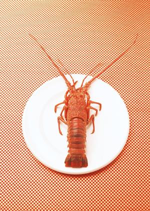 親睦を深めよう！茨木市駅前で実現可能