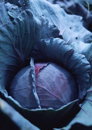 ジミー オンラインショップ – おしゃれと便利さを追求したファッション通販サイト