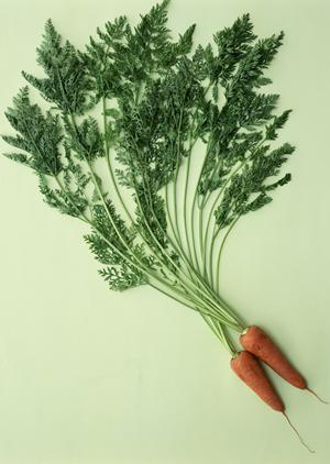 2026年最新|仙台で見つける!パン屋巡りのおすすめと選び方ガイド