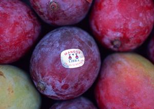 創業20年の博多にあるもつ鍋のお店