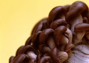 口コミでも人気の東京水タバコの店