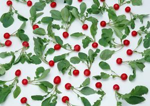 調剤師も在籍！東京のシーシャカフェ